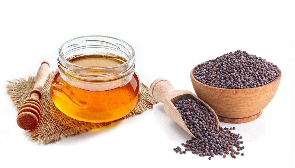 Кориандровый мед: полезные свойства, противопоказания, рецепты для применения
