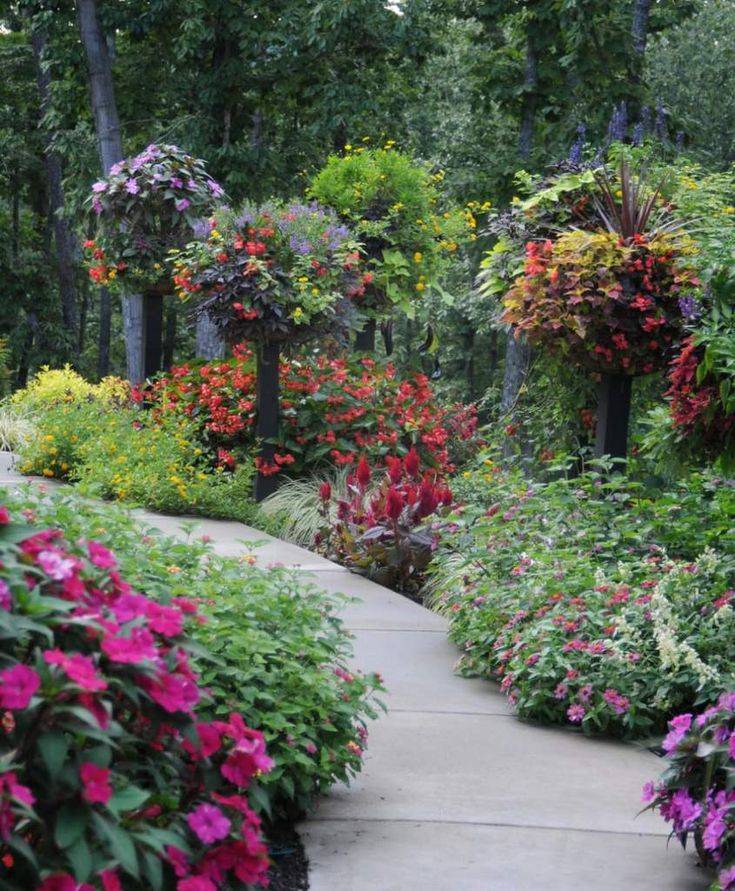 Контейнерное цветоводство » все для дачников и огородников, советы и рекомендации