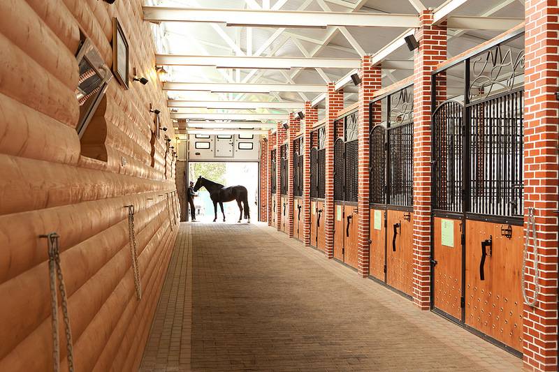 Стойло для лошади: как построить и правила оборудования, размеры и схемы