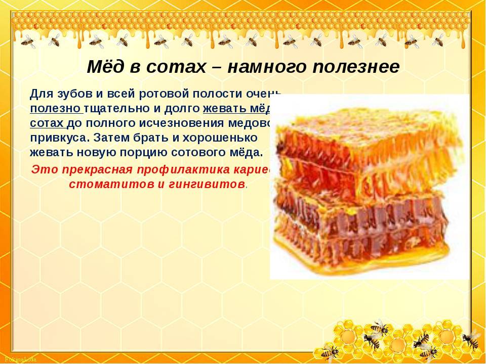 Сотовый мед, его особенности, описание, характеристики