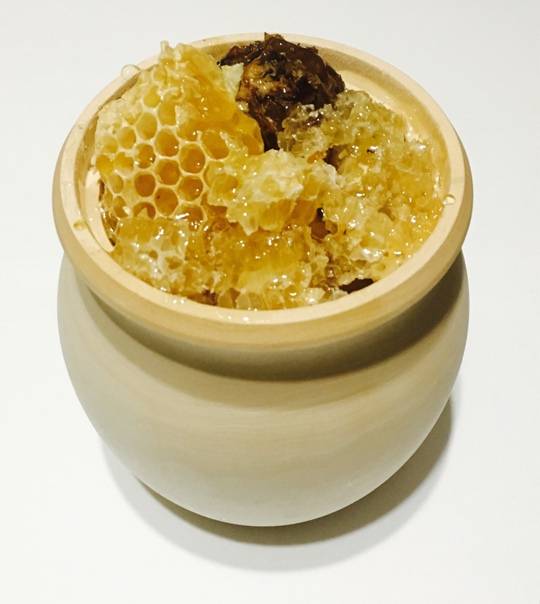 Бортевой мед - полезные свойства меда диких пчел