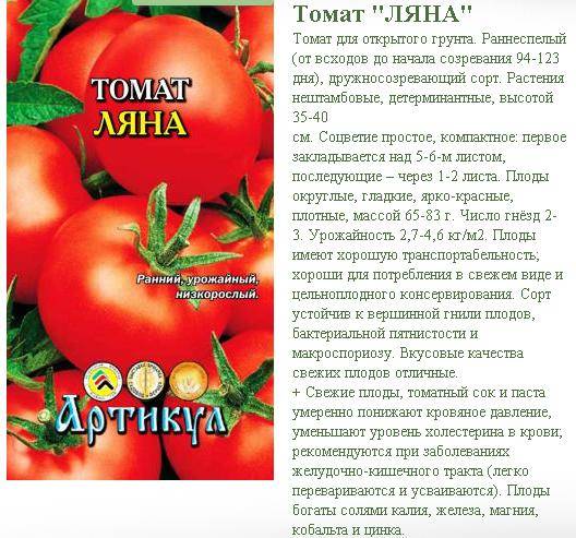 Томат ляна – отзывы садоводов, характеристики и описание сорта, фото помидоров