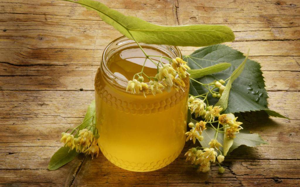Каштановый мед: полезные свойства и противопоказания