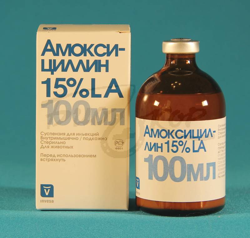 Амоксициллин 1000 мг — инструкция по применению | справочник лекарственных препаратов medum.ru