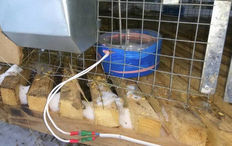 Содержание кроликов зимой на улице в домашних условиях: зимние клетки, как поить, разведение