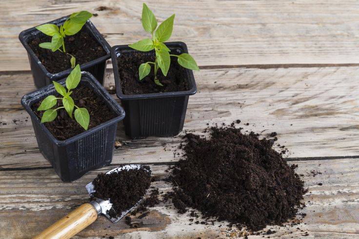 Дренаж для комнатных растений и рассады: как выбрать и сделать своими руками