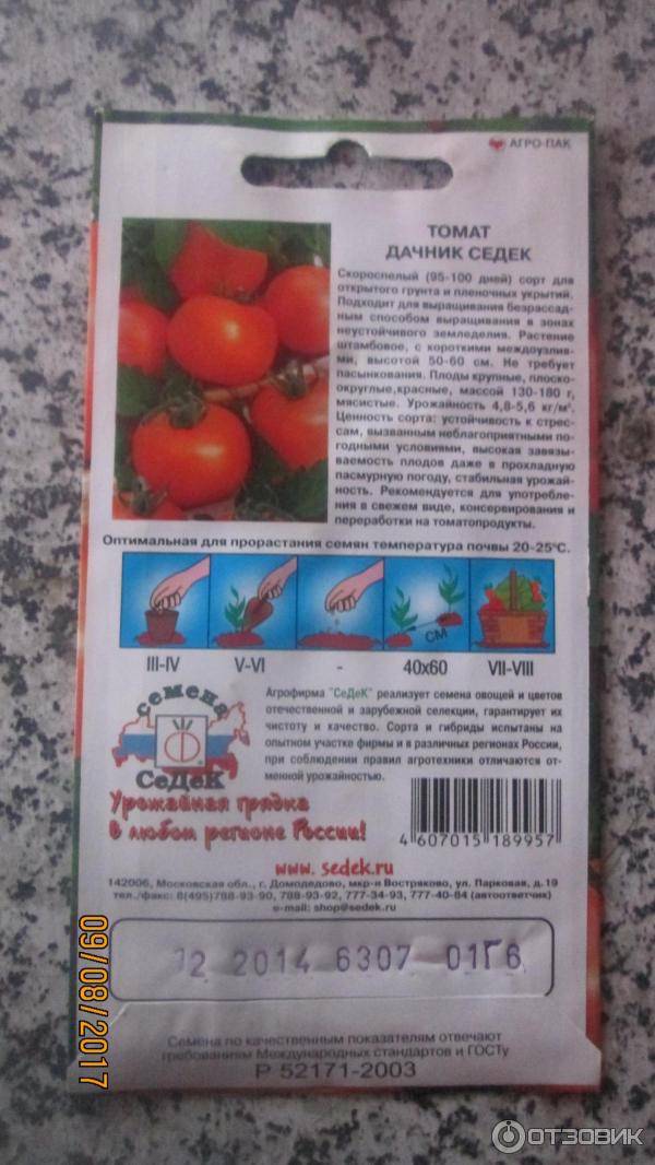 Томат дачник (50 фото): описание, кто сажал, семена уральской селекции, красная гвардия, помидоры премиум класса