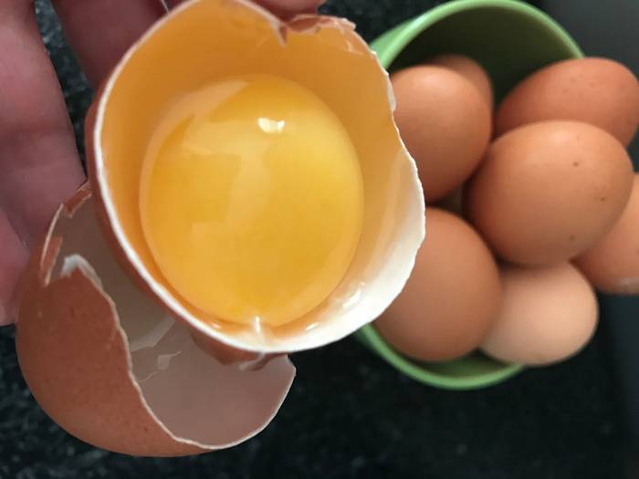 Польза и вред употребления куриных яиц для здоровья человеческого организма
