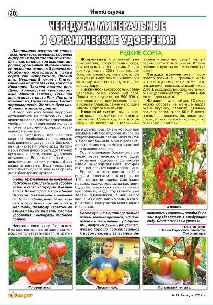 Подкормка томатов: когда и чем подкармливать помидоры