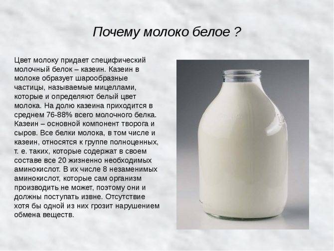 Жирность молока у коровы: определение, способы ее повышения