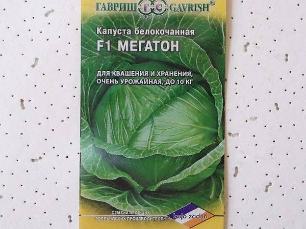 Капуста мегатон: отзывы, фото, описание и выращивание сорта