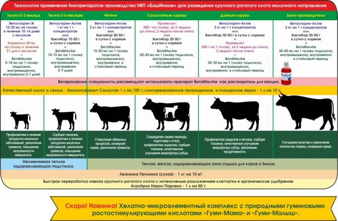 Системы и способы содержания крупного рогатого скота