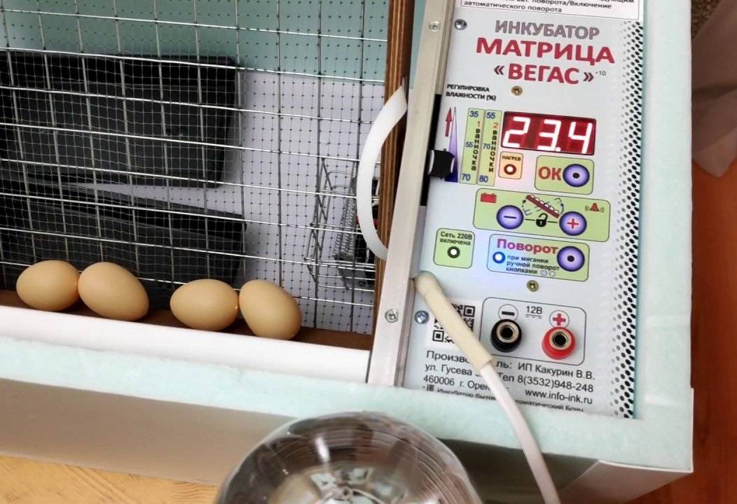 Выбор инкубатора – читаем правду жизни! статья о нюансах инкубаторов для яиц и как их выбрать и на что смотреть.