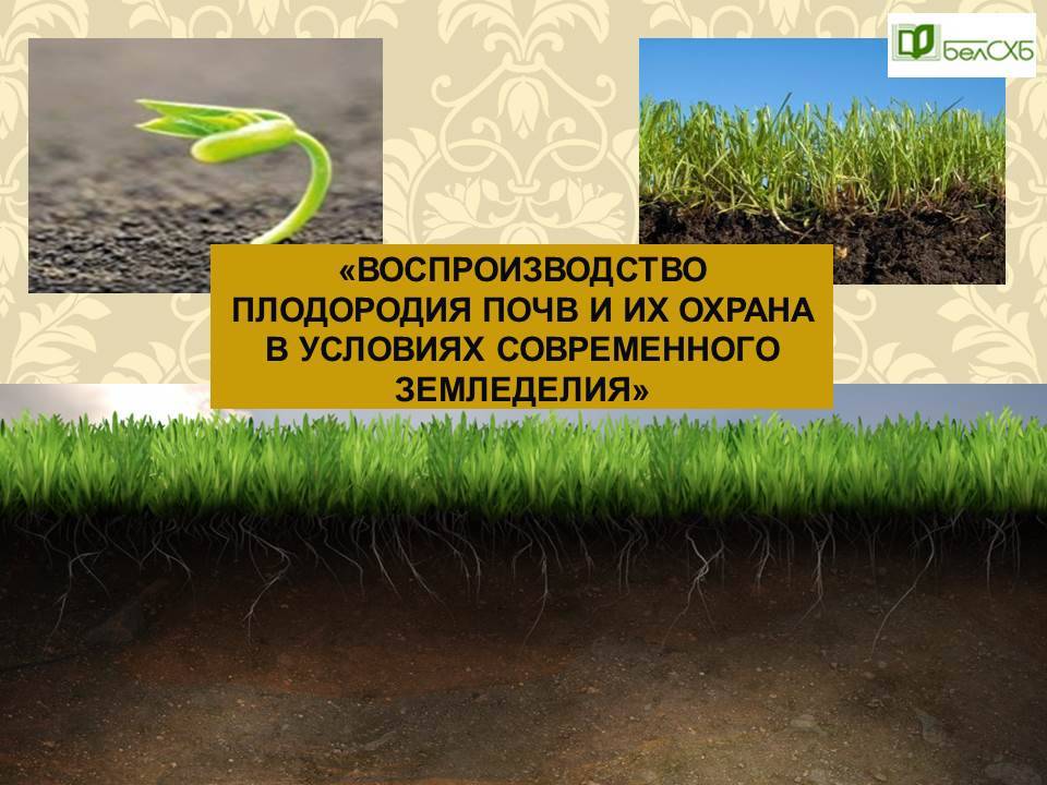 Как повысить плодородие почвы? топ-8 экологически безопасных вариантов +агротехнические методы | +отзывы