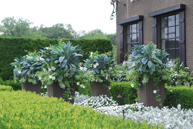 Ландшафтный дизайн и озеленение: «натургарден» или «сад для лентяев»экосад