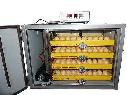 Выбираем лучшие инкубаторы для яиц: топ-8