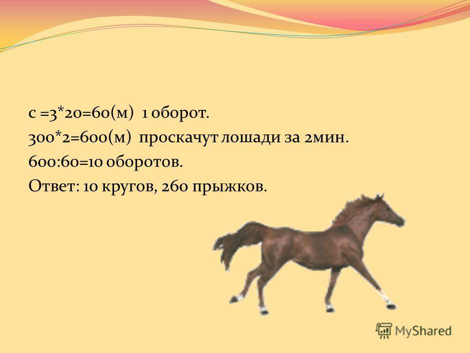 Скорость лошадей: средняя, максимальная, рекордсмены