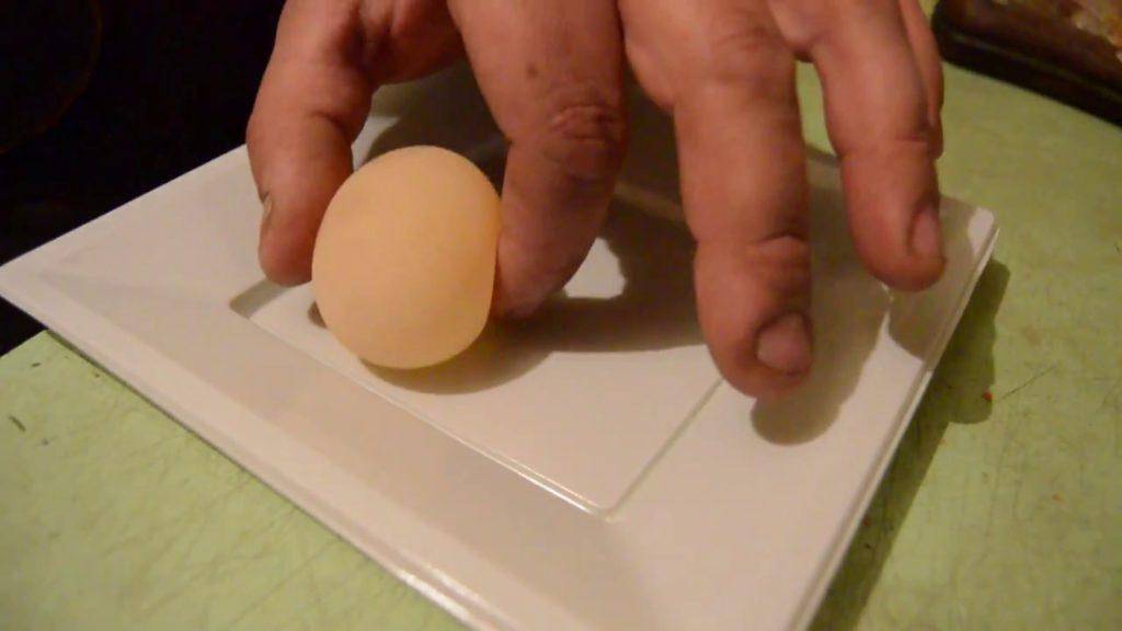 Курица несет яйца без скорлупы — причины, что делать