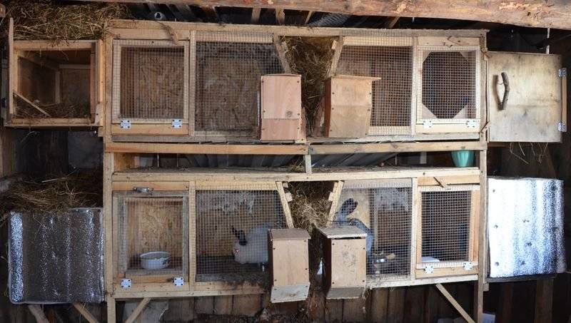 Маточник для кроликов термосберегающий | кролики. разведение и содержание в домашних условиях