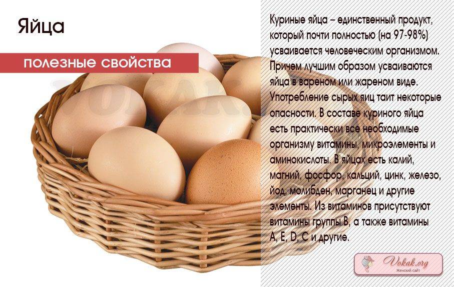Польза и вред яиц для организма человека: их состав и пищевая ценность, противопоказания к употреблению