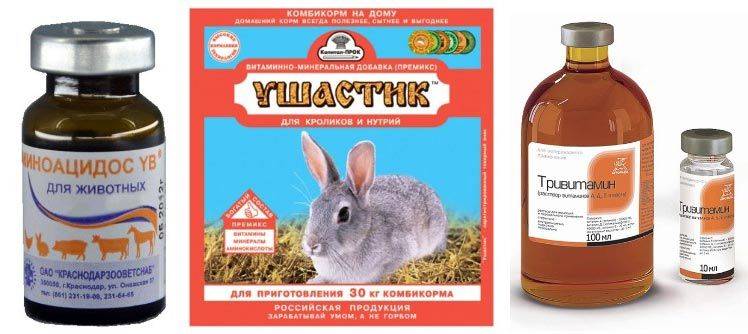 Витамины для кроликов: топ 6 препаратов, какие нужны и в чем содержатся