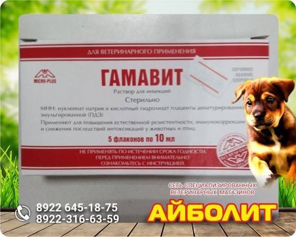 Ветеринарный препарат гамавит: состав, принцип действия и инструкция по применению
