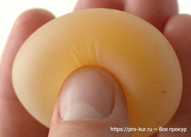 Куриное яйцо без скорлупы в пленке: в чем причина, что делать