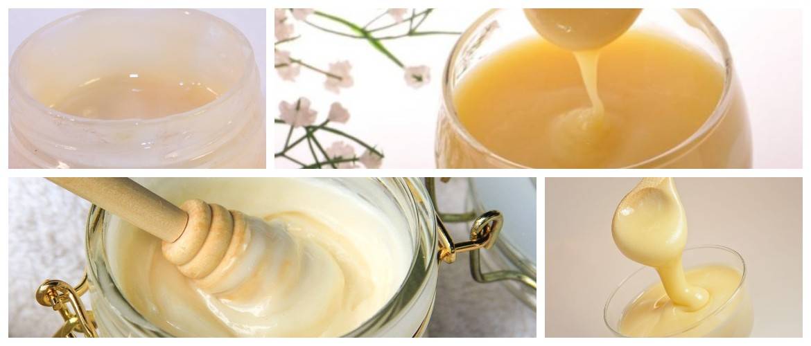 Мед с маточным молочком: полезные свойства, как называется, приготовить, принимать, пропорции, отзывы, как отличить от подделки
