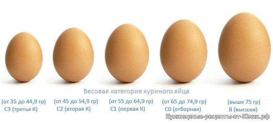 Каков вес куриного яйца