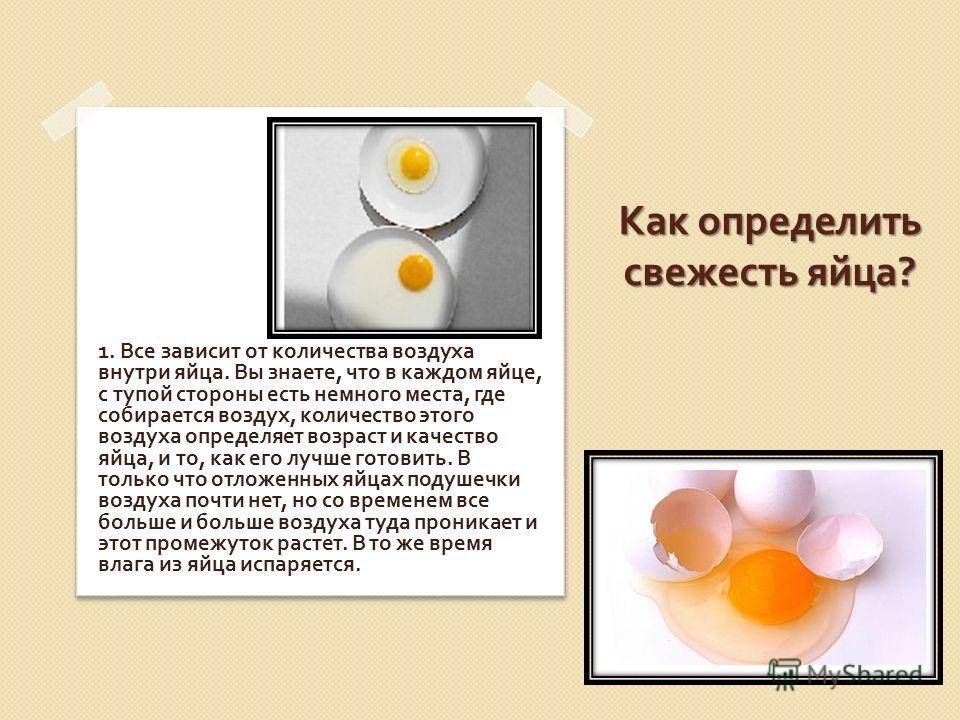 Яйцо с двумя желтками — есть или не есть&nbsp
