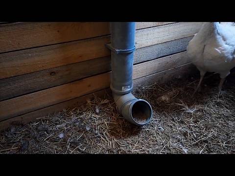 Кормушка для кур: 135 фото идей с описанием, как сделать самодельную и удобную кормушку для кур