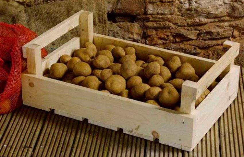Хранение картофеля: как сохранить урожай