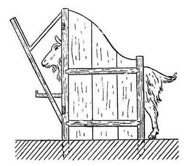 Кормушки для коз своими руками фото - дизайн интерьеров, фото журнал remontgood.ru