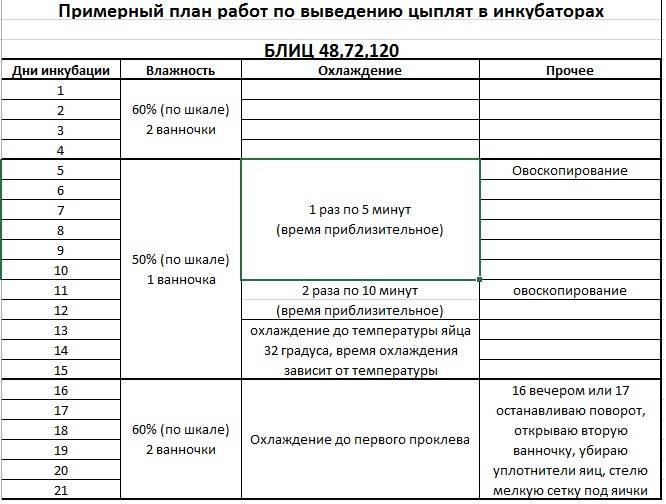 ᐉ инкубация индюшиных яиц в домашних условиях - zooon.ru