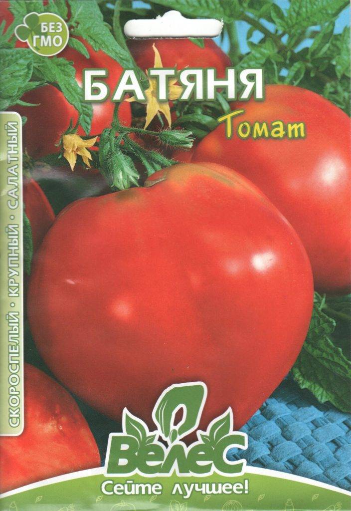 Особенности сорта и тонкости агротехники высокоурожайного томата батяня