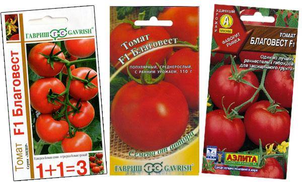 Характеристика и описание гибрида томата благовест f1, выращивание и уход