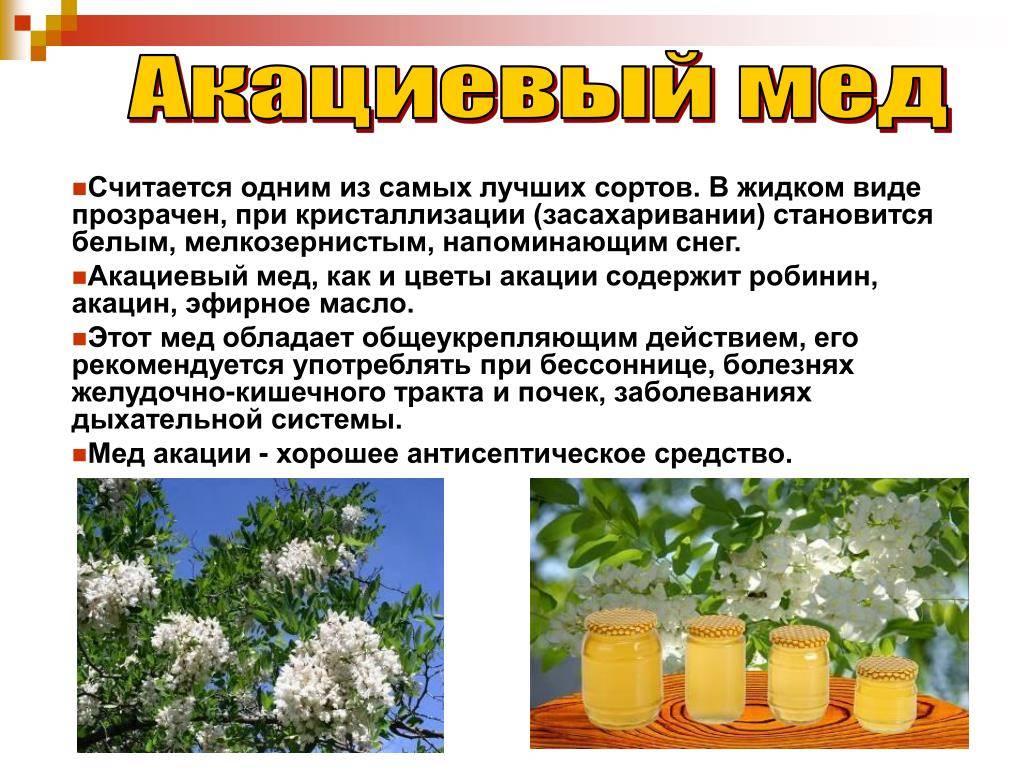 Цветочный мед: полезные свойства и противопоказания, описание, как выглядит, калорийность