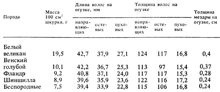 Сколько весит кролик: таблица веса разных пород по месяцам