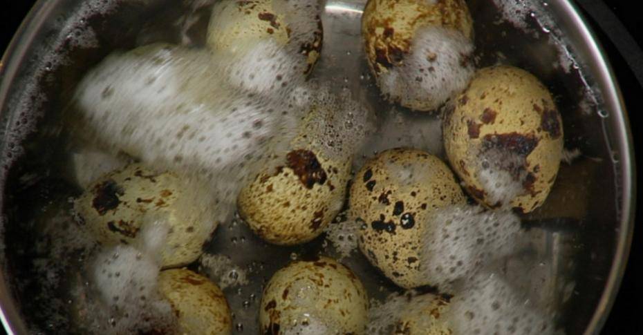 Перепелиные яйца: польза и вред, как принимать перепелиные яйца?