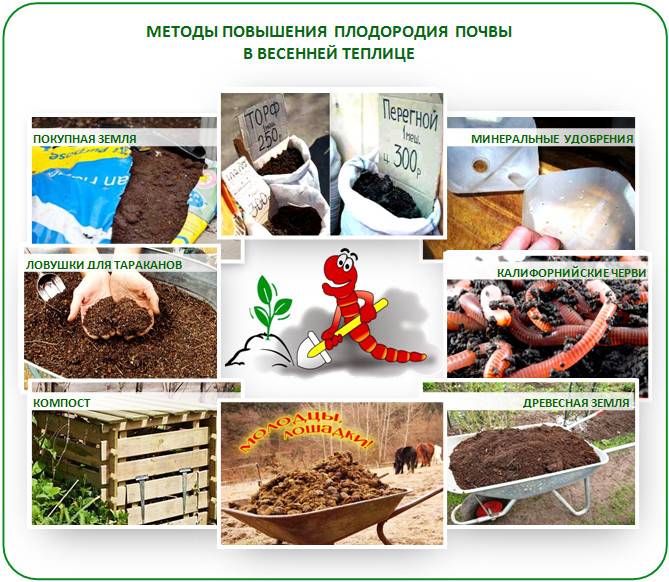 6 экологически безопасных способов повысить плодородие почвы | фазенда рф
