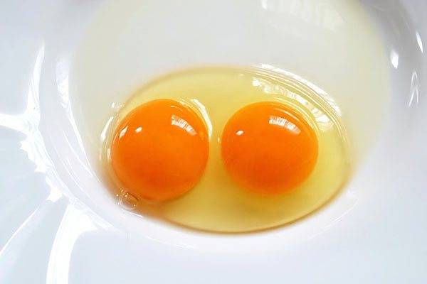 Двухжелтковое яйцо: особенности и причины появления
