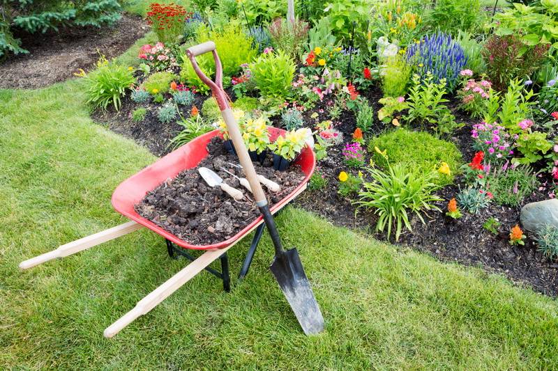 Календарь весенних работ в саду, огороде и цветнике на май: подробное описание майских работ с рекомендациями