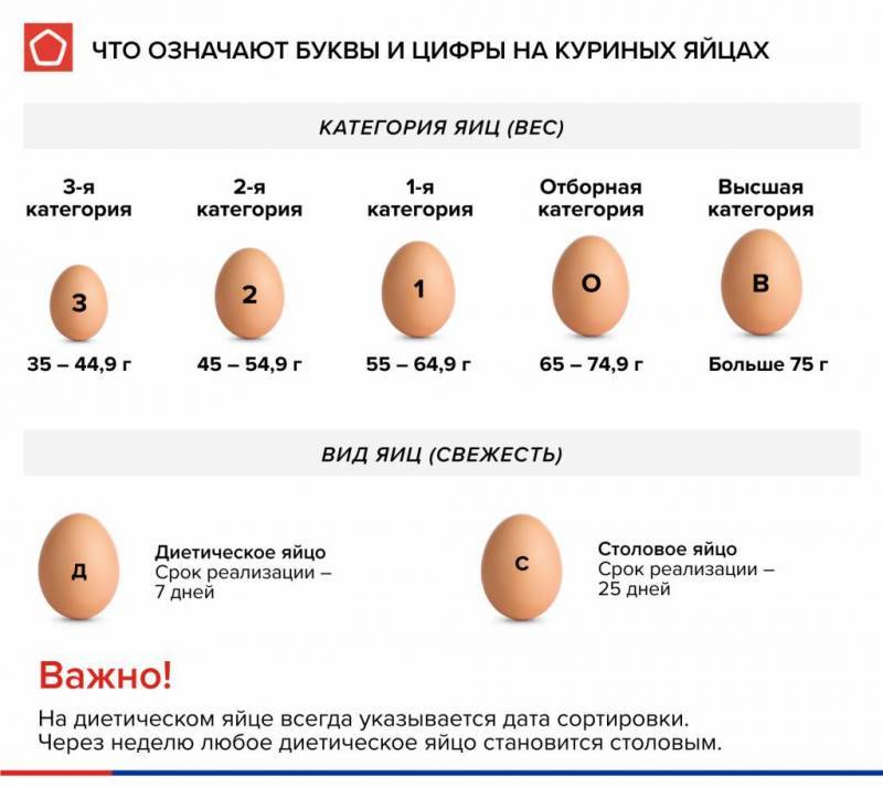 Сколько весит куриное яйцо, без скорлупы, сырое и вареное — «vexsi» журнал