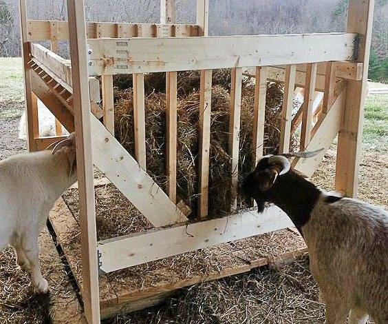 Виды и изготовление кормушек для коз под сено
