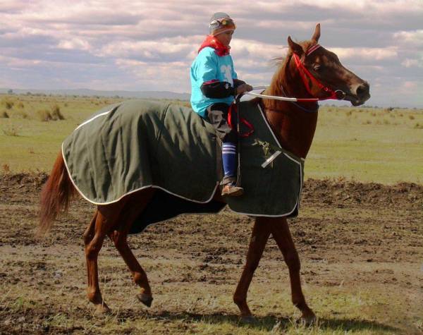 ᐉ самая быстрая порода лошадей в мире - zooon.ru