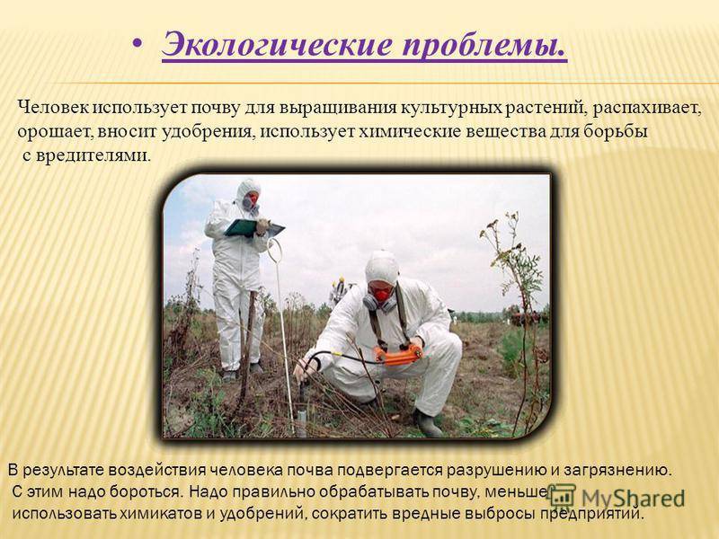Выращивание огурцов в защищенном грунте