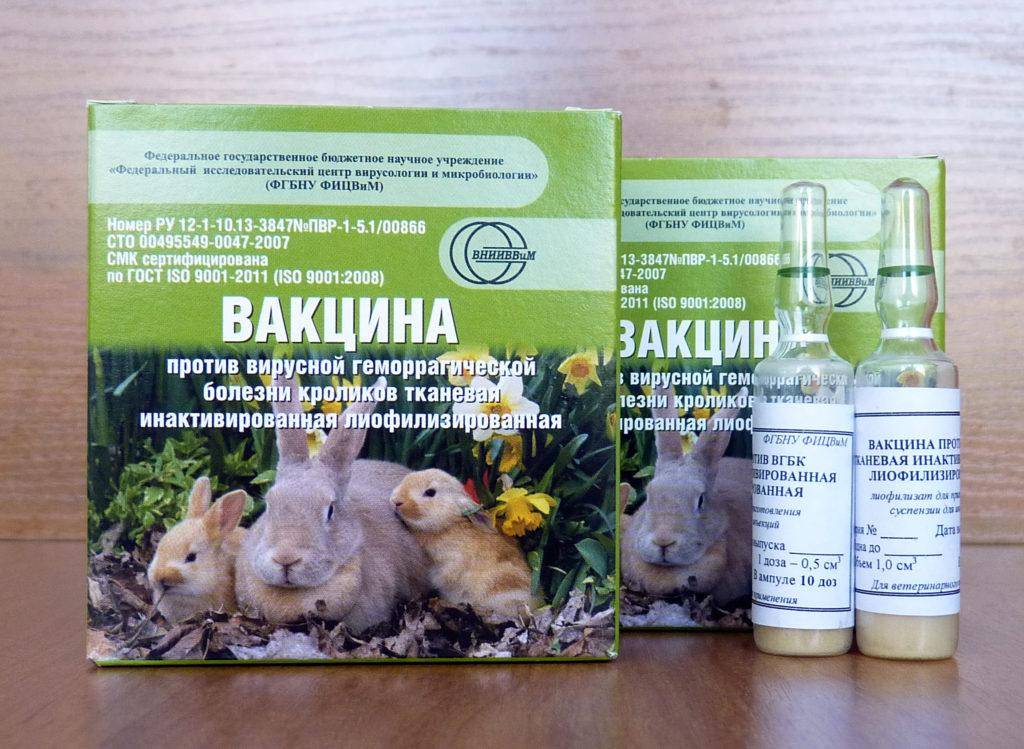 Инструкция раббивак-в: сухая вакцина от миксоматоза кроликов