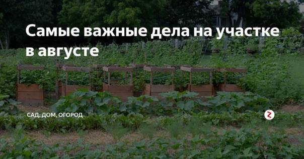 Календарь садовых работ в октябре и ноябре (видео) » интер-ер.ру