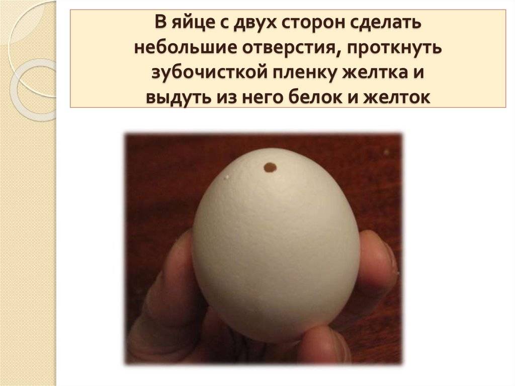 Какого цвета бывают яйца у курицы. почему яичные желтки разного цвета и в каком больше пользы