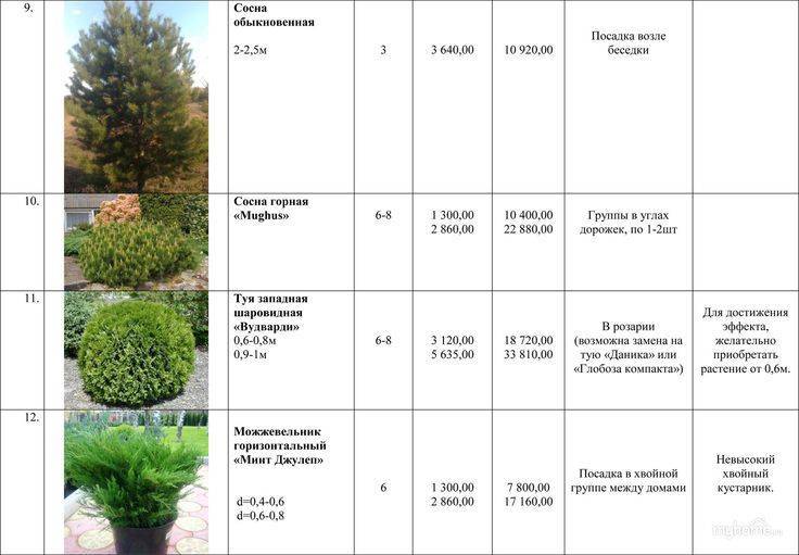 Наличие каких растений на участке может привести к штрафам и не только? | fermers.ru